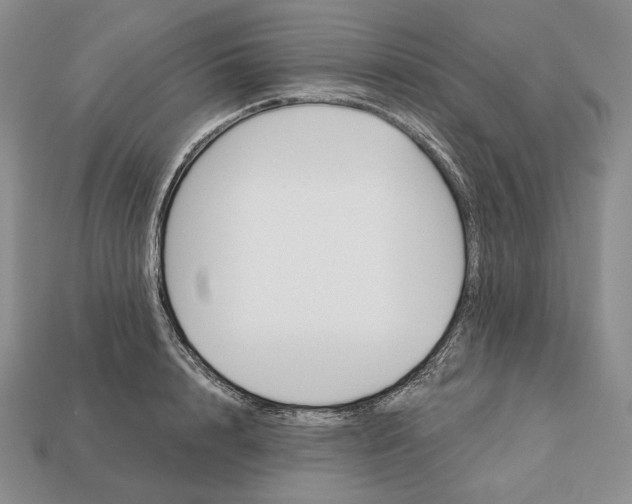 X0000113160848200909181810