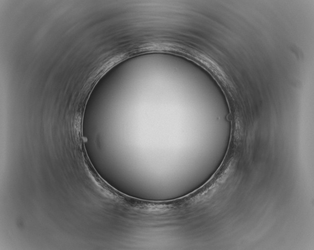 X0000113160849200909181810