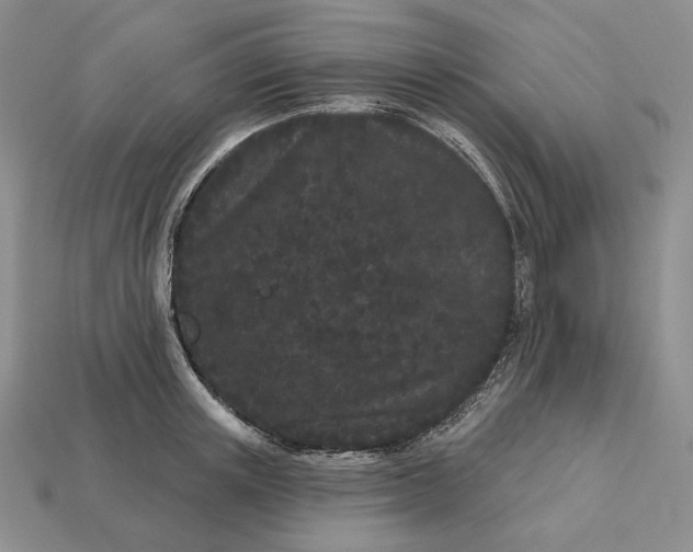 X0000113160851200909181810