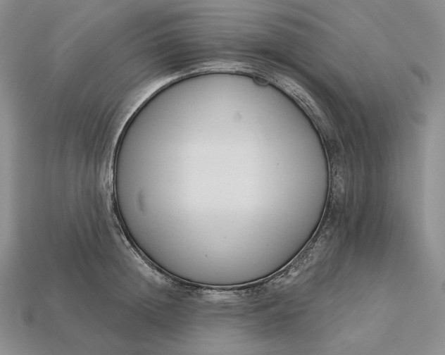 X0000113160852200909181810