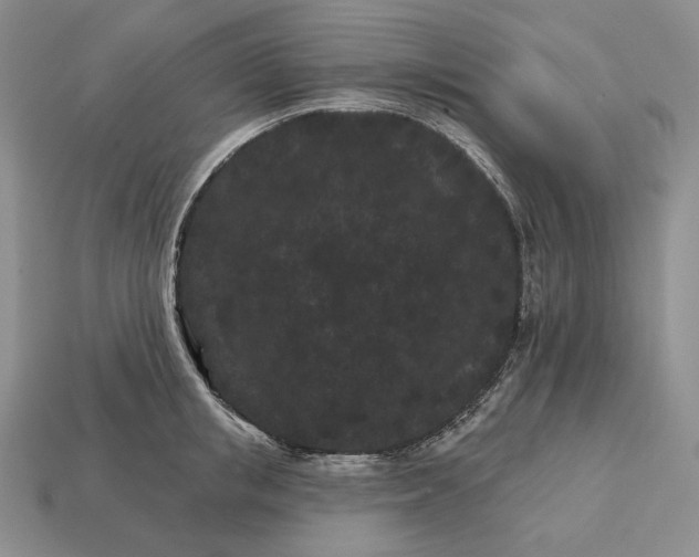 X0000113160853200909181810