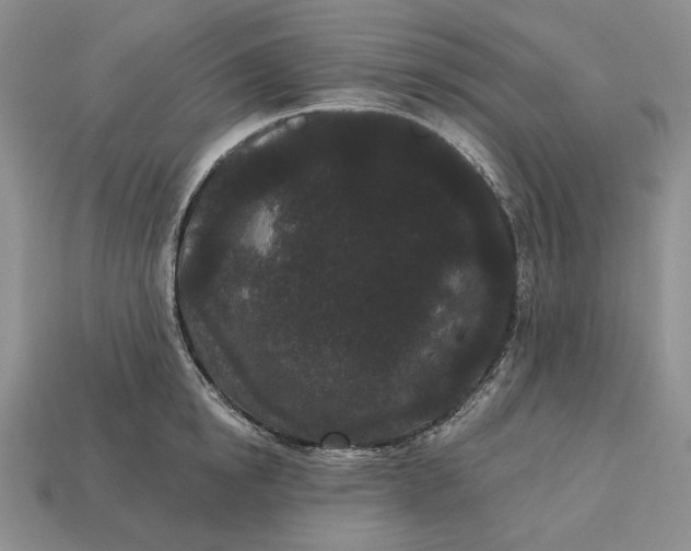 X0000113160854200909181810