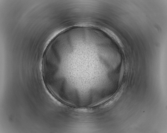 X0000113160855200909181810