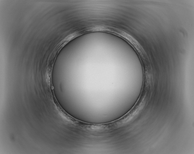 X0000113160857200909181810