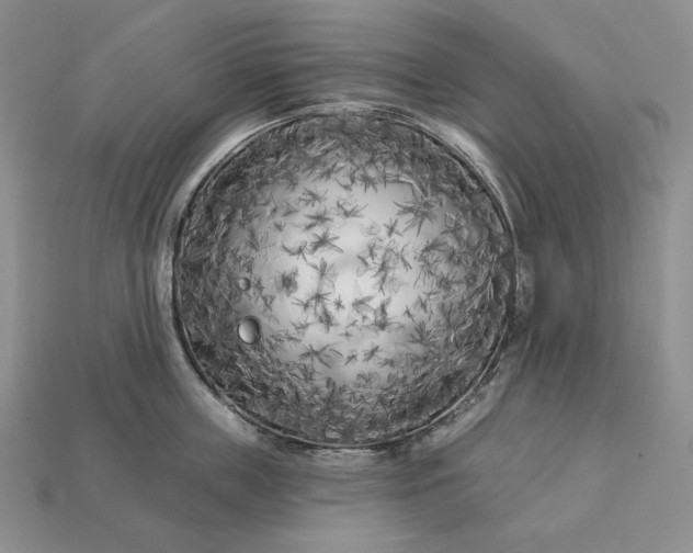 X0000113160859200909181810