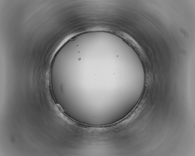 X0000113160860200909181810