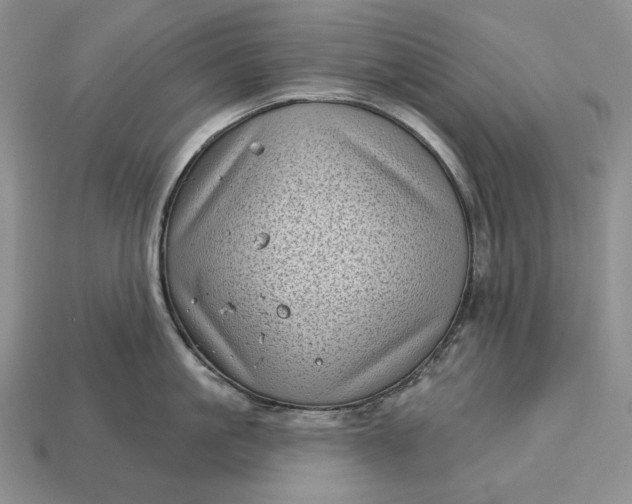 X0000113160861200909181810