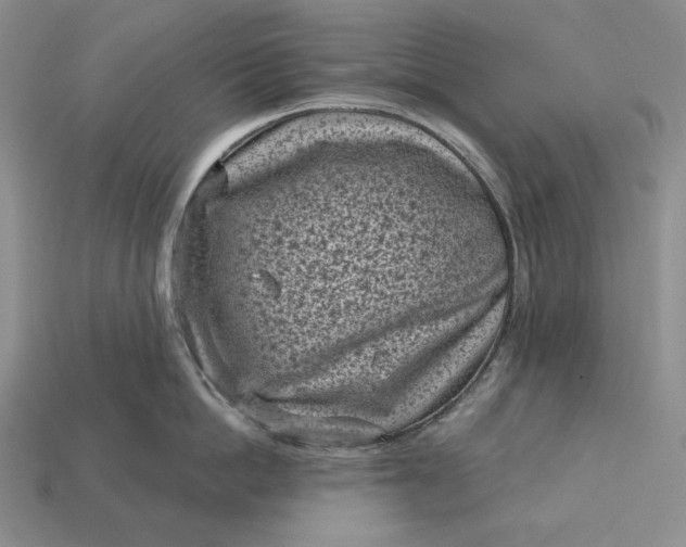 X0000113160862200909181810