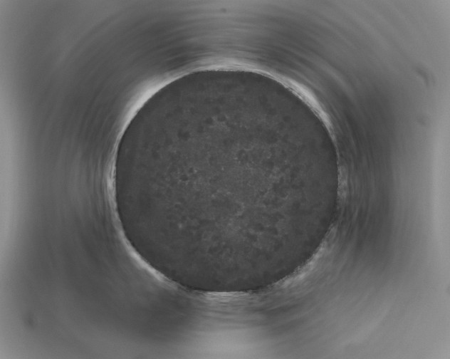 X0000113160863200909181810