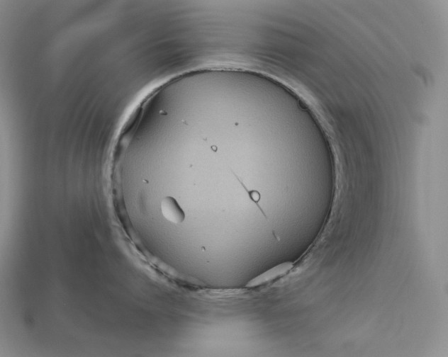 X0000113160864200909181810