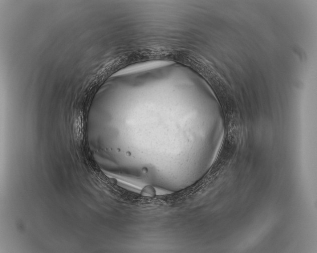 X0000113160866200909181809