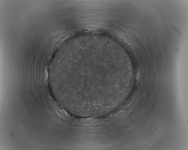 X0000113160868200909181809