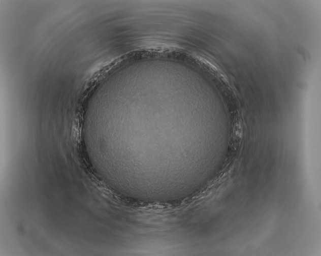 X0000113160869200909181809