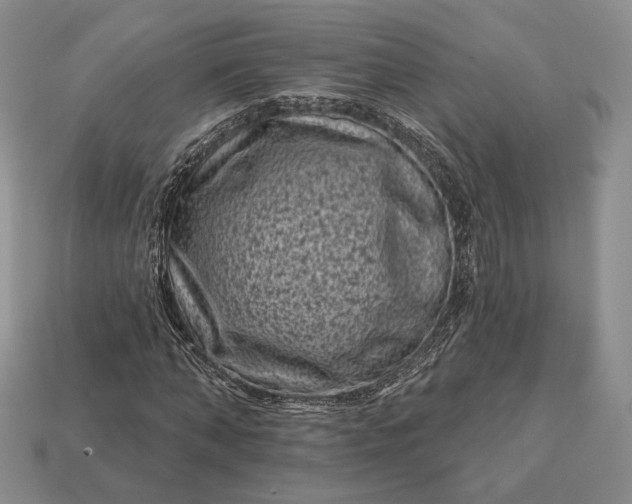 X0000113160870200909181809