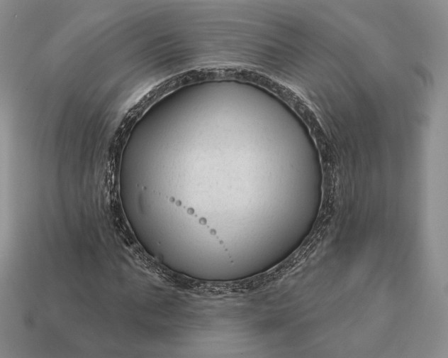 X0000113160871200909181809