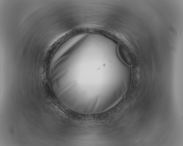 X0000113160872200909181809