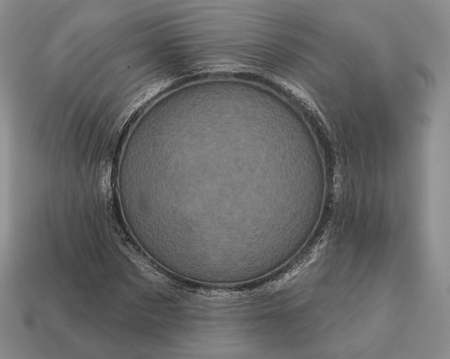 X0000113160873200909181809