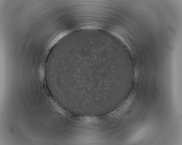 X0000113160874200909181809