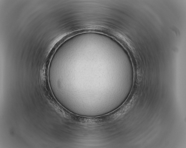 X0000113160875200909181809