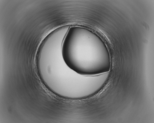 X0000113160876200909181809