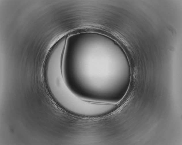 X0000113160877200909181809