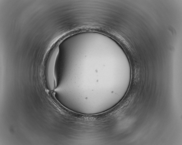 X0000113160878200909181809