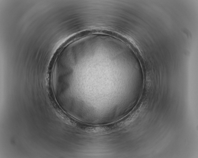 X0000113160879200909181809