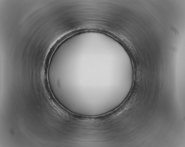 X0000113160880200909181809