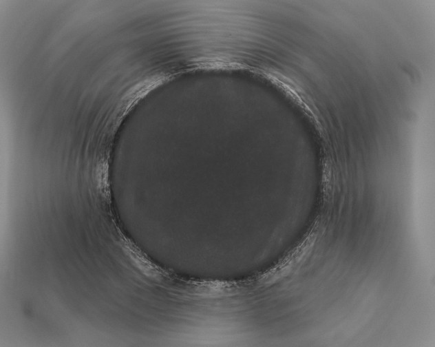 X0000113160881200909181809