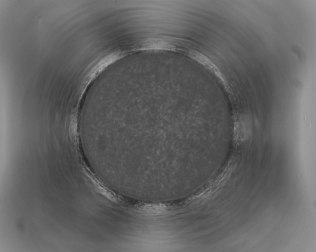 X0000113160882200909181809