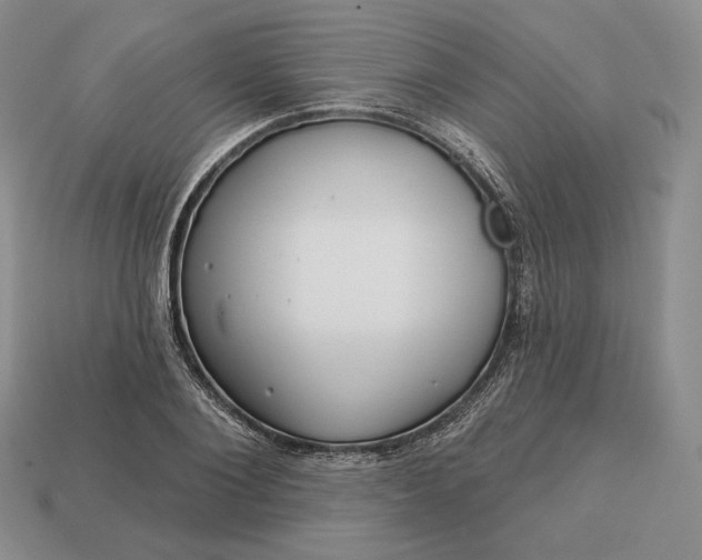 X0000113160884200909181809