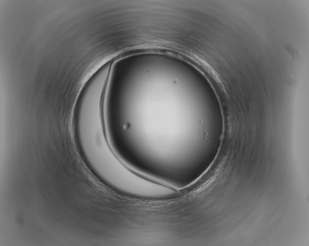 X0000113160885200909181809