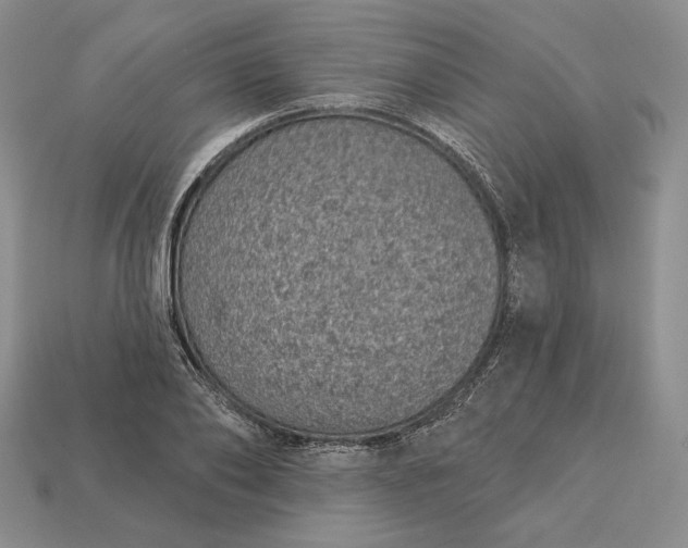 X0000113160886200909181809