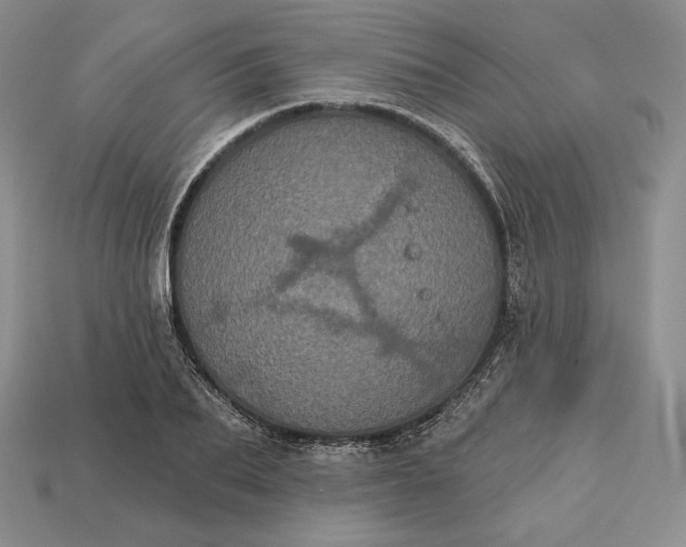 X0000113160887200909181809