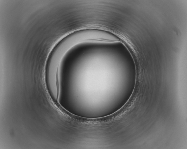 X0000113160888200909181809