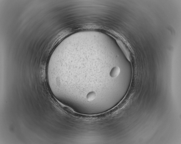 X0000113160889200909181809