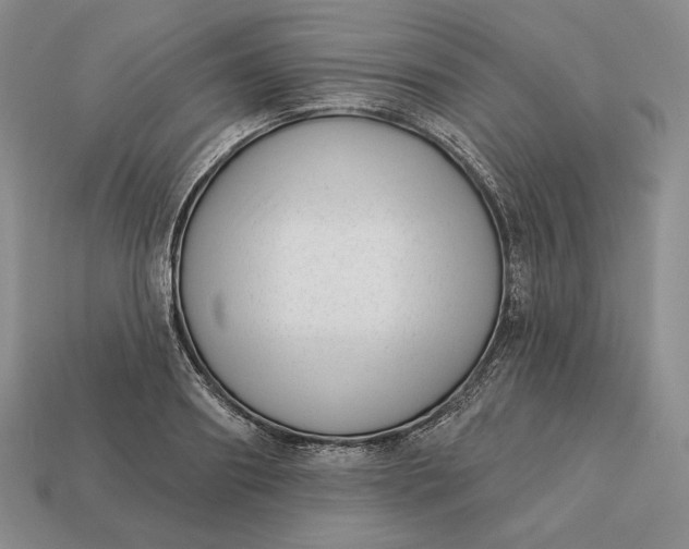 X0000113160890200909181809