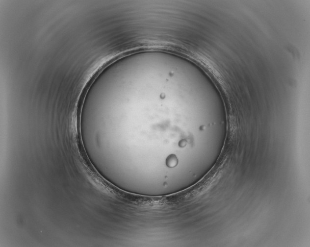 X0000113160891200909181809