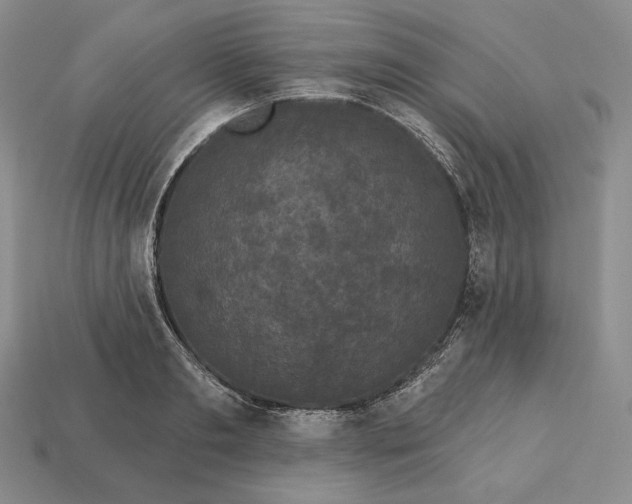 X0000113160893200909181809