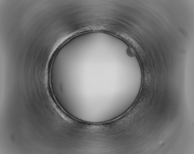 X0000113160894200909181809