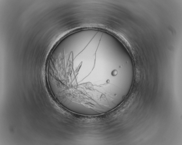 X0000113160895200909181809