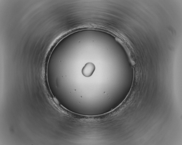 X0000113160896200909181809