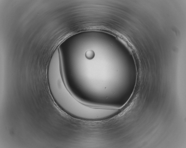 X0000113160897200909181809