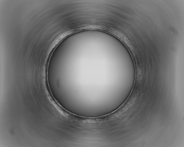 X0000113160898200909181809