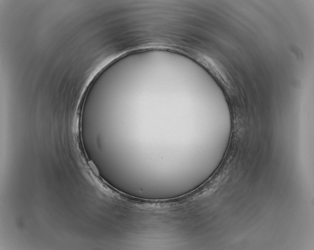 X0000113160900200909181809