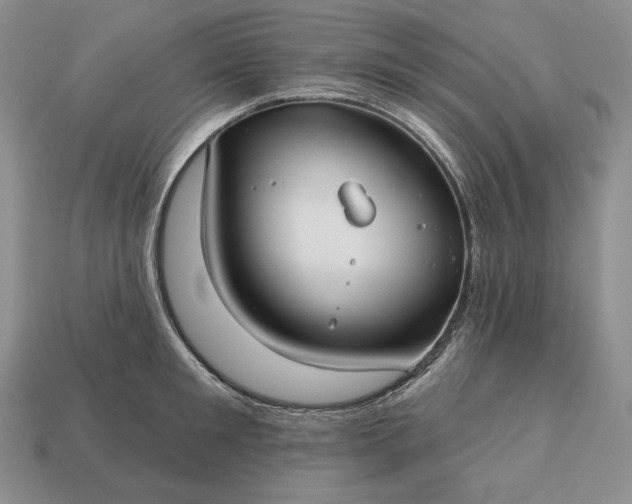 X0000113160901200909181809