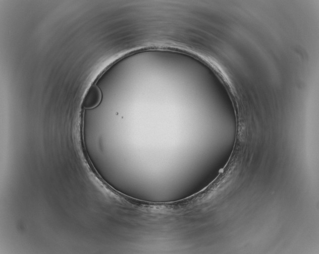 X0000113160903200909181809