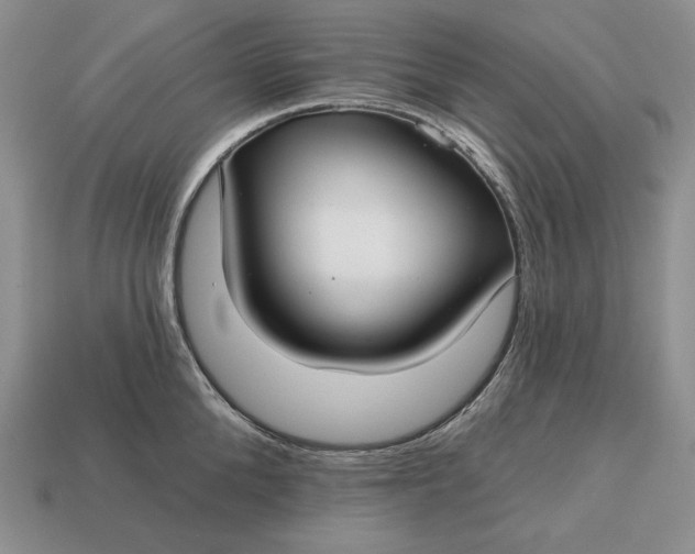 X0000113160904200909181809