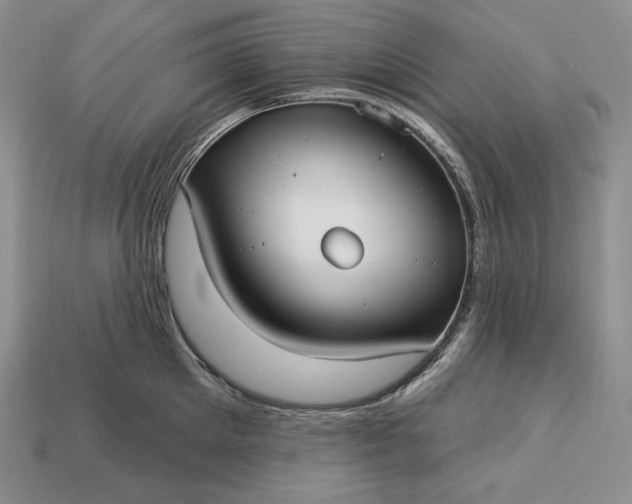 X0000113160905200909181809