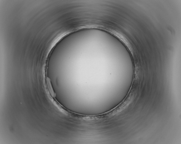 X0000113160906200909181809